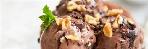Мороженое тофу - хрустящий шоколад Мороженое тофу - хрустящий шоколад