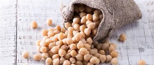 селеновые продукты