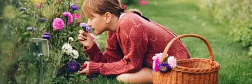 Как и зачем заводить цветник?