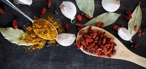 дал индийская кухня бобовые годжи карри