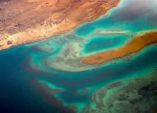 новый океан