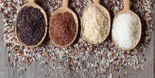 готовить рис