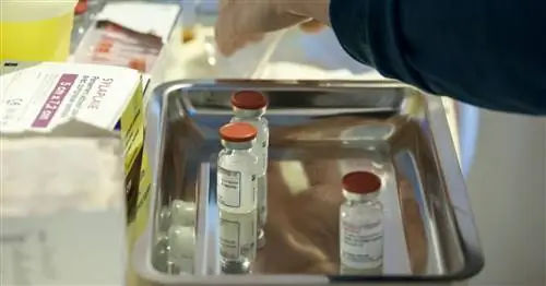 CovidListe, сайт, ограничивающий потерю доз вакцины