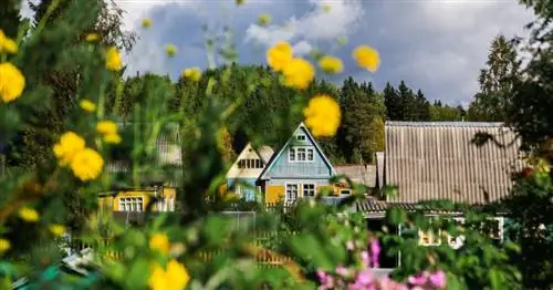 Что, если мы изменим нашу жизнь и создадим экологически чистое место?