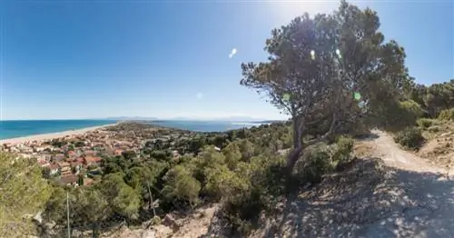 Внимание - Средиземноморье теряет свое биоразнообразие!