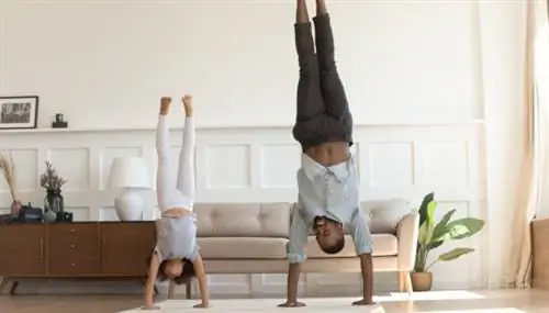 как быть в форме утром