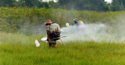 хлорпирифос