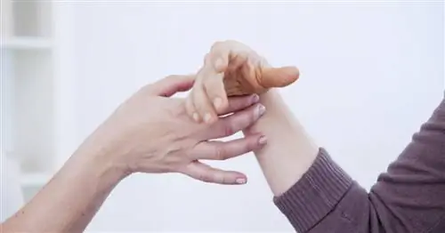 Ключи к тому, чтобы стать практикующим гипнозом и изменить свою жизнь