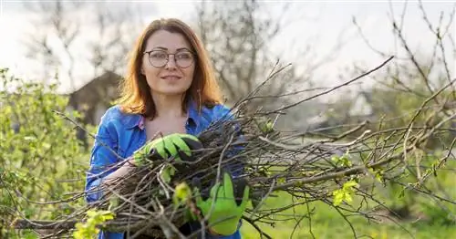 Обрезка деревьев и кустов в саду: когда и как это делать?