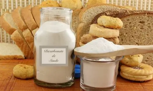 пищеварение соды