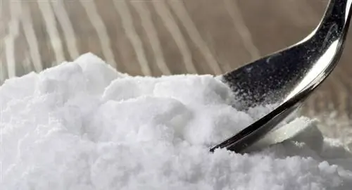 пищеварение соды