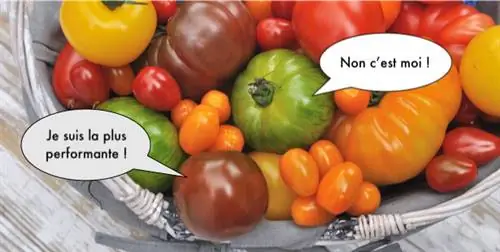 производительность