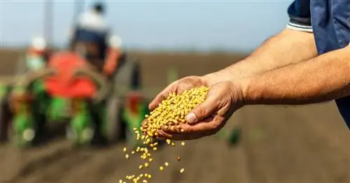 Государственные субсидии: не менее 1,800 миллиардов выделено на уничтожение биоразнообразия