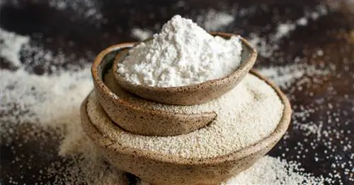 Фонио, безглютеновая каша, богатая питательными веществами