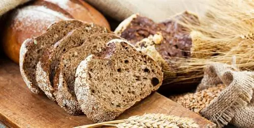 продукты богатые кальцием