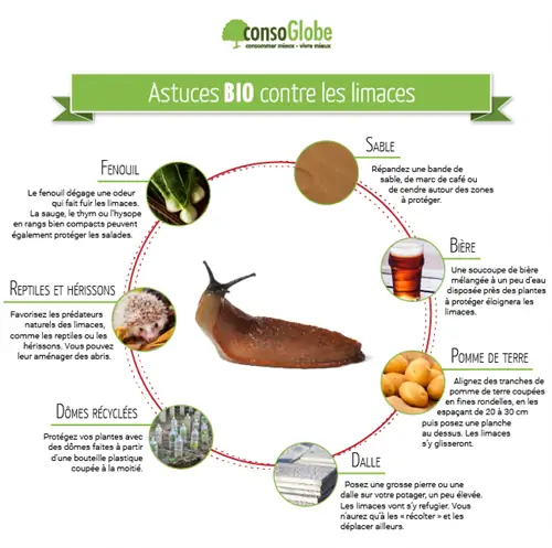 натуральный против слизняков