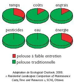 трезвый газон, меньше воды в саду