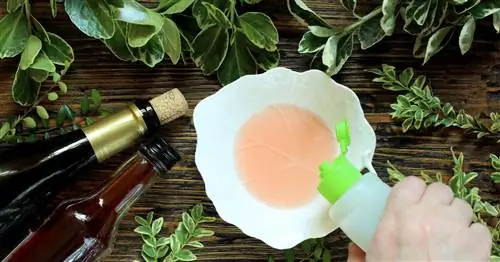 Боритесь с мошками в доме естественным путем