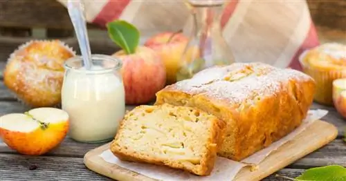 SOS-система D: Как испечь торт без муки