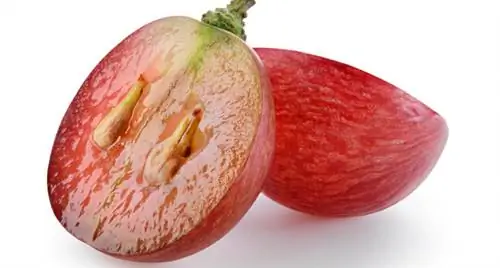 семя винограда