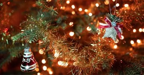 Опрос - Рождество и энергетическая трезвость: собираетесь ли вы украсить свой дом?