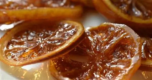 Заготовьте цукаты из лимонов на зиму: простой и вкусный способ!