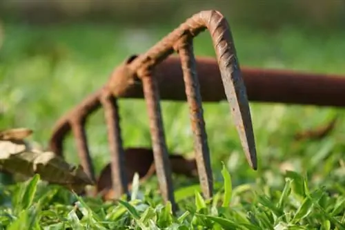 садовые инструменты