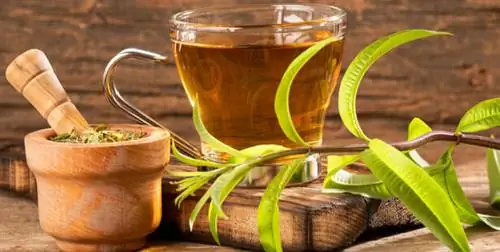 травяной чай для сна, растение для сна, натуральное снотворное, вербена-цветок-растение-найти-сон-спать