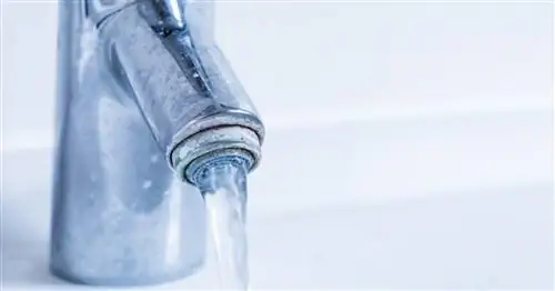 Известняк: 4 совета по экологическому удалению накипи