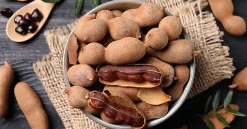 10 малоизвестных фруктов с удивительными свойствами!