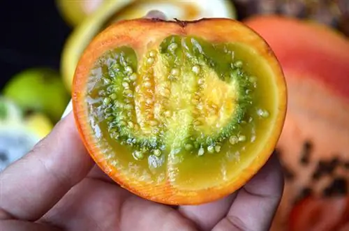 Малоизвестный фрукт Нарангила.