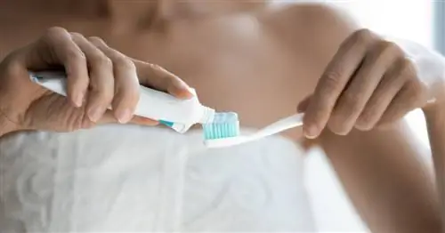 Опасна ли для здоровья добавка Е171, или диоксид титана?