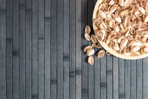 Повторное использование скорлупы фисташек