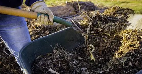 Метод Жана Боля: зеленая энергия благодаря щеточному компосту