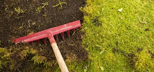 натуральный гербицид, борьба с сорняками