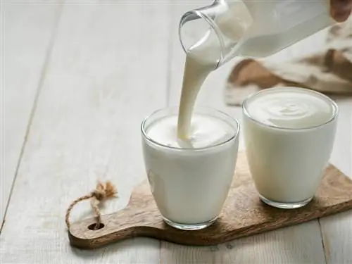 Ферментированные продукты, способствующие микробному разнообразию Ферментированные продукты, способствующие микробному разнообразию