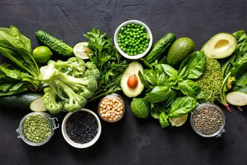 Продукты, богатые полифенолами, важными антиоксидантами для кишечной флоры. Продукты, богатые полифенолами, важными антиоксидантами для кишечной флоры.
