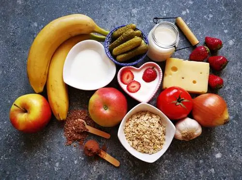 Продукты, богатые полифенолами, важными антиоксидантами для кишечной флоры. Продукты, богатые полифенолами, важными антиоксидантами для кишечной флоры.