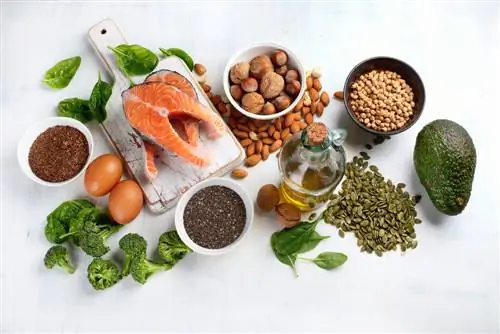 Продукты, богатые омега-3 и жирами, полезными для кишечной флоры. Продукты, богатые омега-3 и жирами, полезными для кишечной флоры.