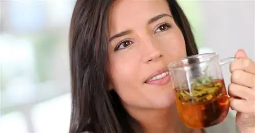 Трудное пищеварение: анис и дикий фенхель вам на помощь!