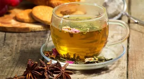 анисовое пищеварение