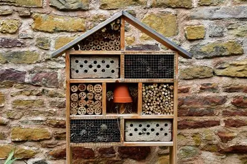 весенняя агроэкология