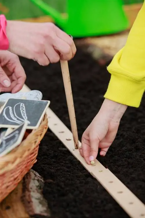 ребенок весна