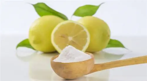 ванна для ног