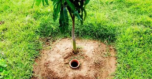 Сделайте ояс своими руками из переработанных материалов