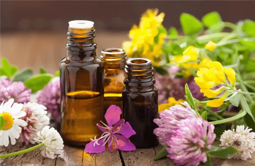 Эфирное масло цветов Баха, спасение цветов Баха