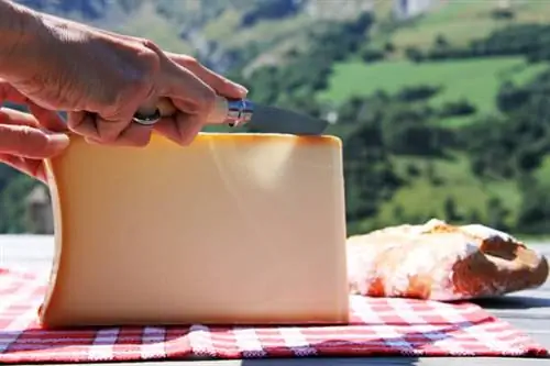 Июньские сезонные овощи