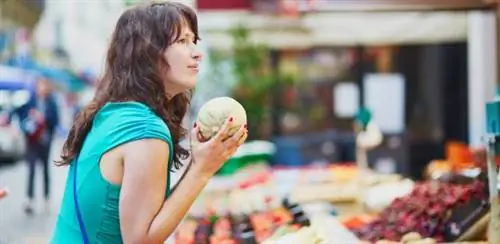 выберите дыню Шаранте