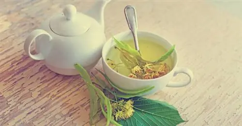 липовый лист