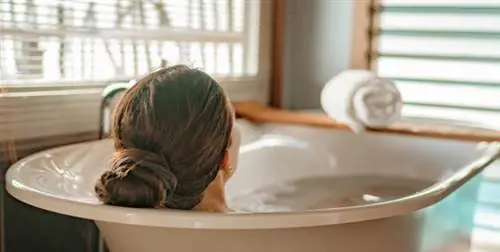 липовый лист